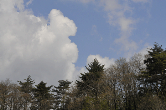 c0093046_923161.gif
