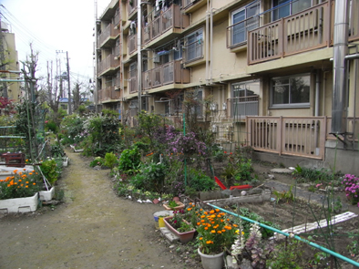 d0080547_14216.jpg