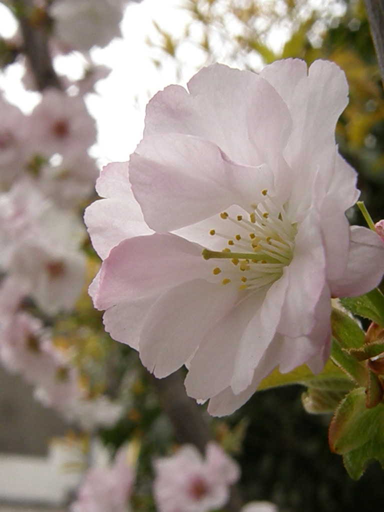 e0064158_23201467.jpg