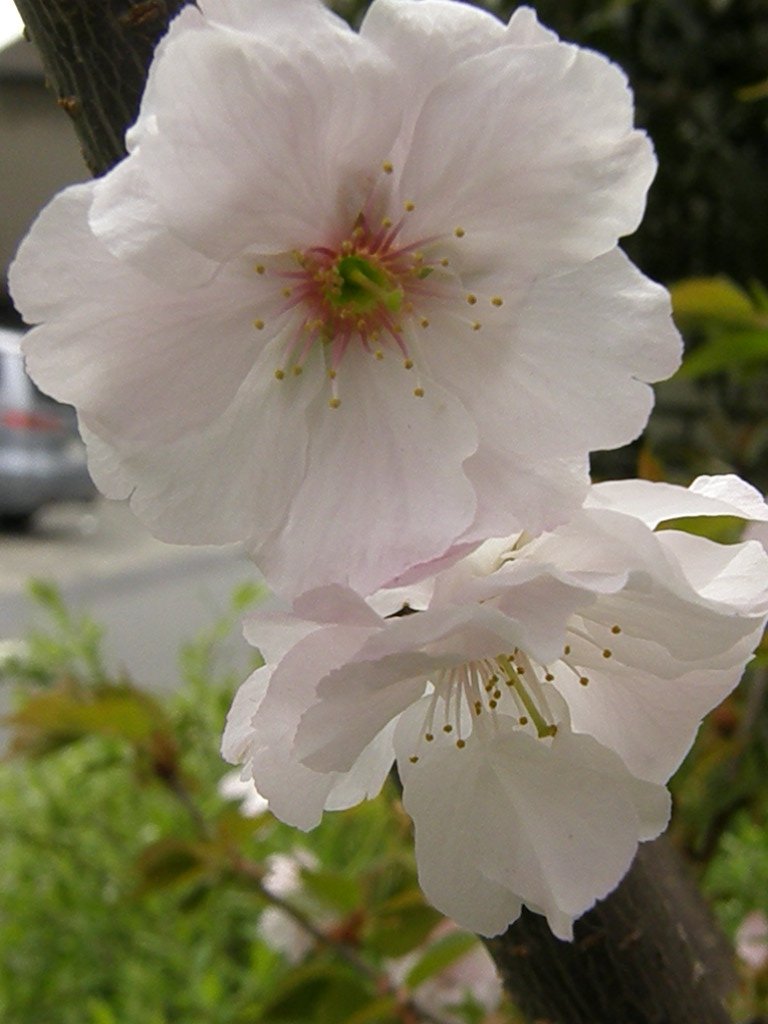 e0064158_23204195.jpg