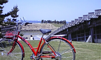 りんくう公園で慰労会_e0136066_23331076.jpg