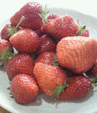 赤ずきん_e0160269_16253398.jpg