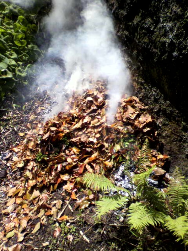 c0067272_22322576.jpg