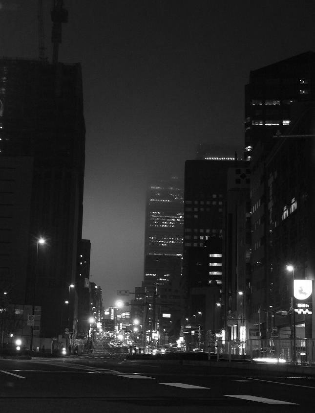 ＴＯＫＹＯ　ＭＯＮＯＣＨＲＯＭＥ　ＮＩＧＨＴ_f0145372_7262191.jpg