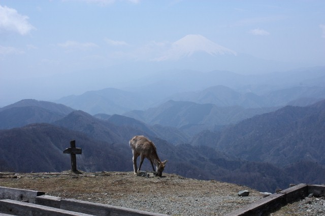 2010年4月30日　丹沢表尾根縦走と鍋割山　日帰り単独縦走_f0238475_22522262.jpg