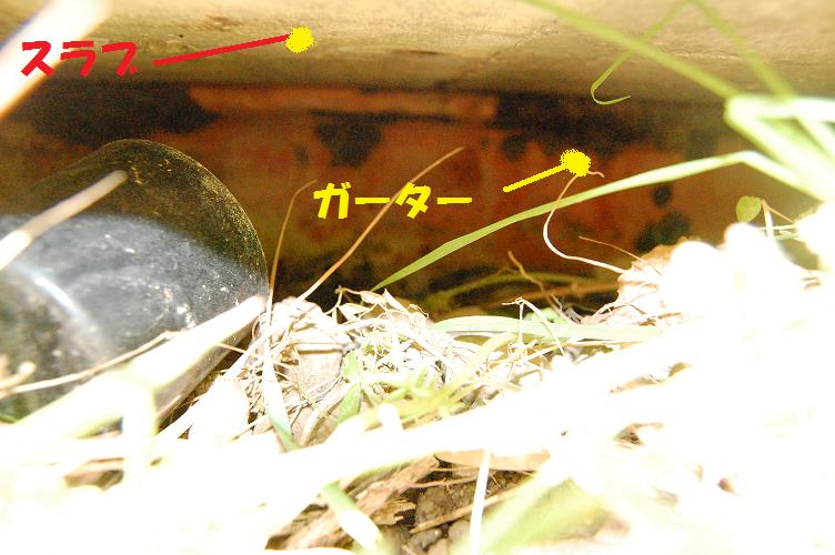 b0059978_10502139.jpg