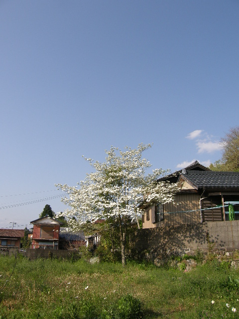 c0108198_17381822.jpg