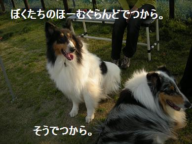 f0081100_20443540.jpg