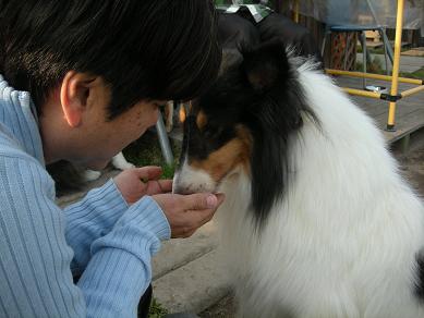 f0081100_20455367.jpg