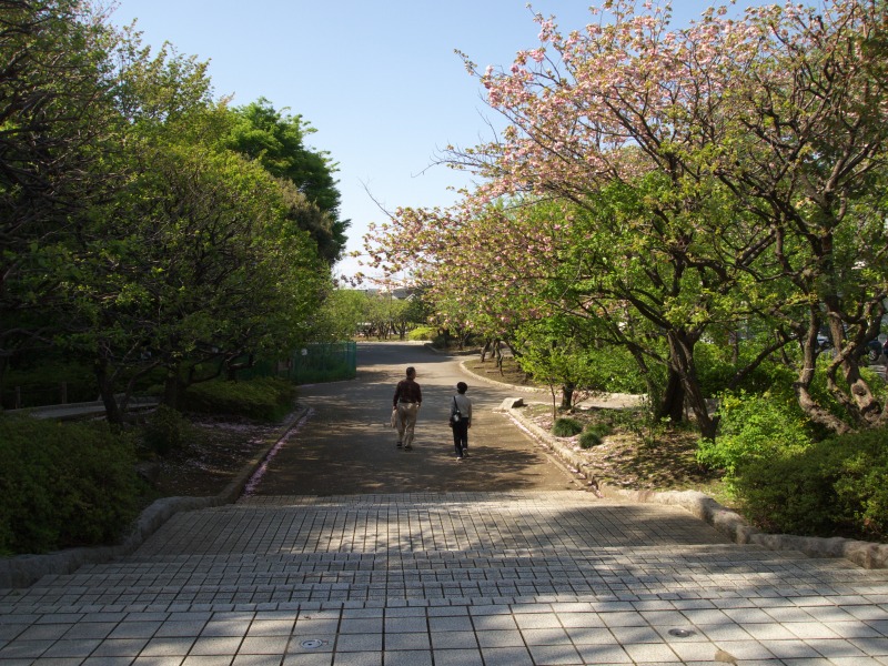 f0224100_4164540.jpg