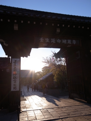 c0069903_8691.jpg