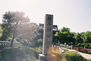 d0035307_16123917.jpg