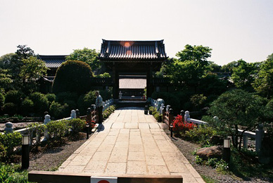 d0035307_16133246.jpg