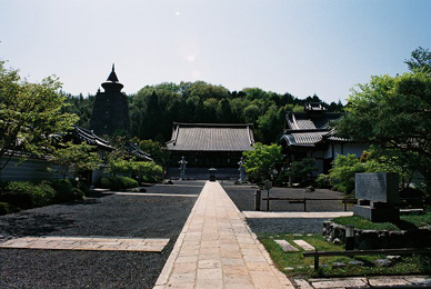 d0035307_16205918.jpg