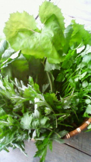 f0024109_2220758.jpg