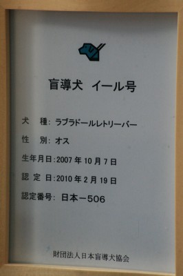 c0156510_20442559.jpg