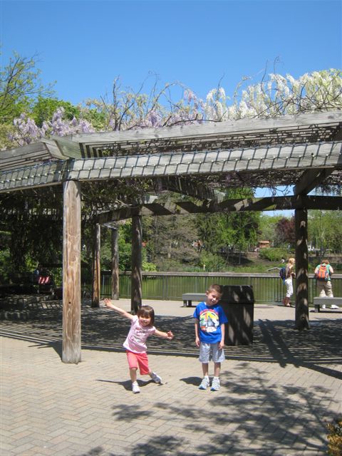 c0079011_10114649.jpg