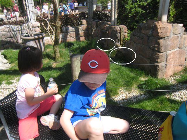 c0079011_10363590.jpg