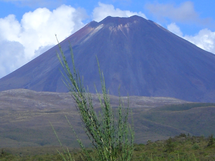 e0167411_72369.jpg