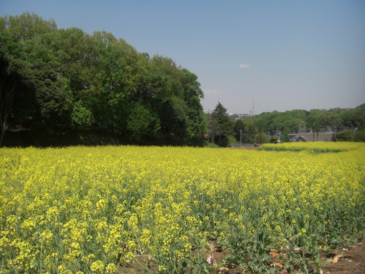 c0193512_2323411.jpg
