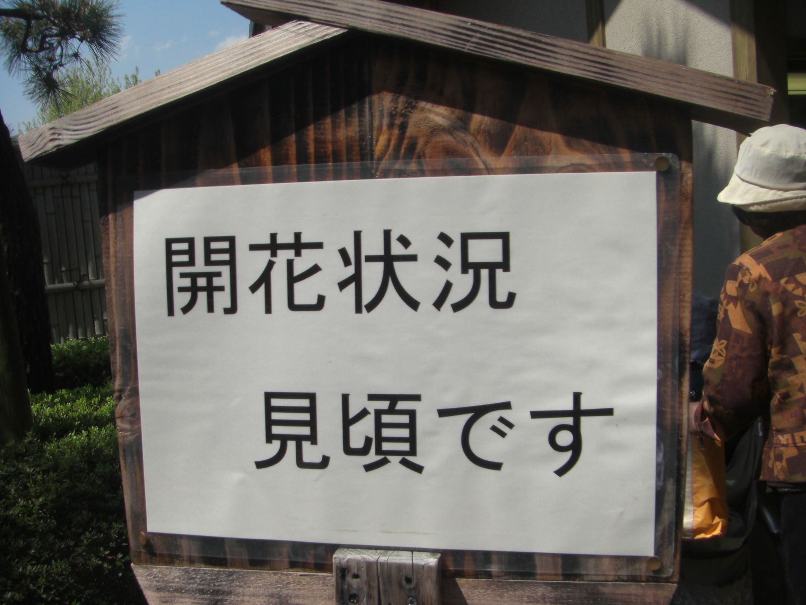 c0193512_2344526.jpg