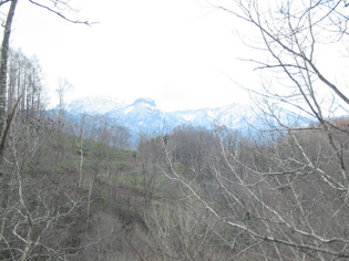 c0173813_2014997.jpg