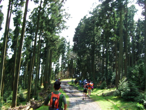 f0225414_1454234.jpg