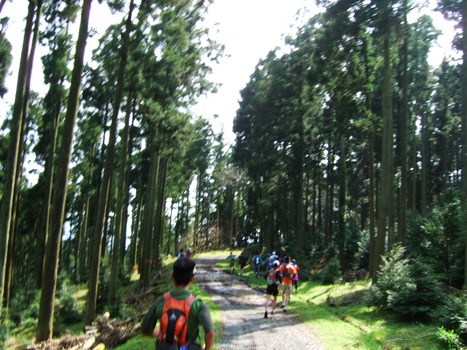 Patagonia Happy Trail in 千葉　2010/4/29_f0225414_1454234.jpg