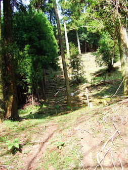 f0225414_1543081.jpg