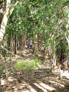 f0225414_275223.jpg