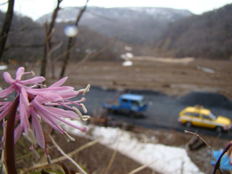 揚石山と櫃地ヶ森・いわかがみ平は雪で通行止めだって_a0127015_20525366.jpg