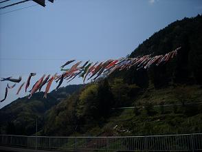 a0145216_221778.jpg