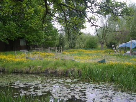 c0124619_1162019.jpg