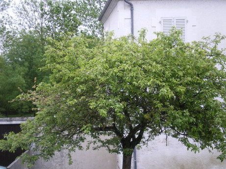 c0124619_119535.jpg
