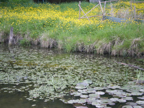 c0124619_1222894.jpg