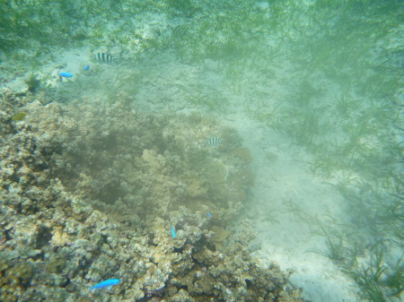 f0097620_22451164.jpg