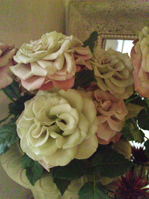 f0107320_8295645.jpg