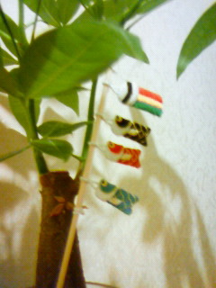 f0148320_19443732.jpg