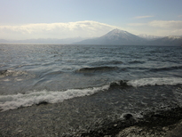c0227522_2023028.jpg