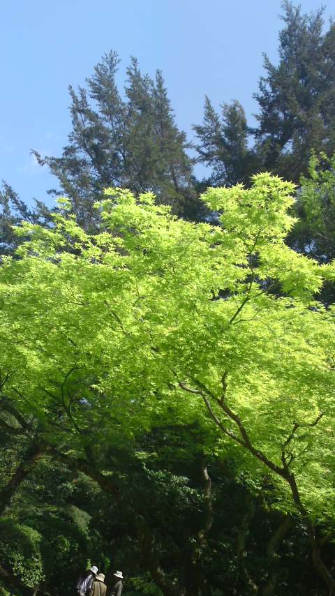 b0042023_1603874.jpg