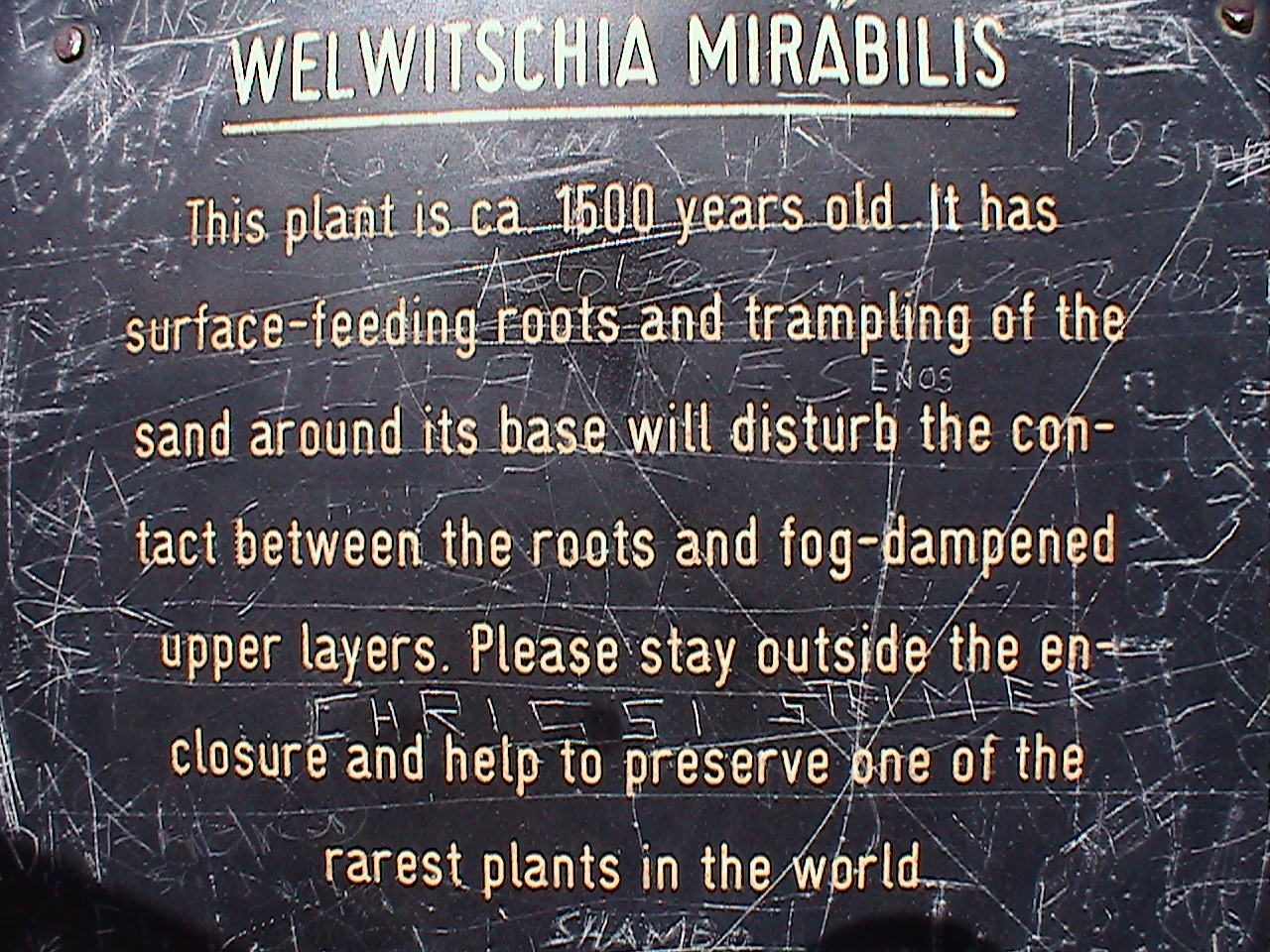 e0055023_19265663.jpg