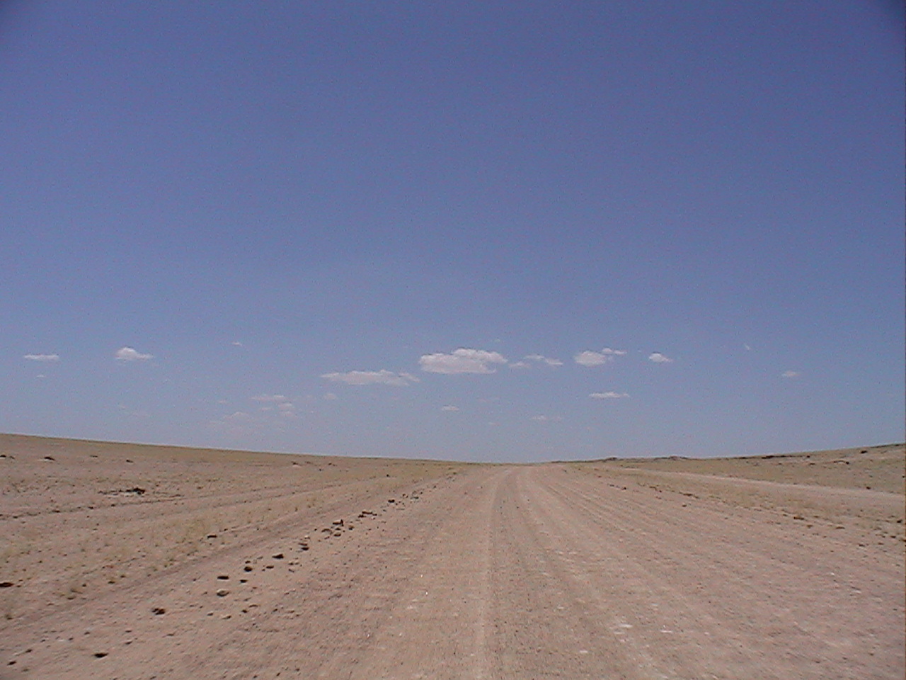 e0055023_1975478.jpg
