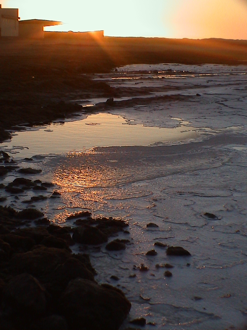e0055023_2065676.jpg
