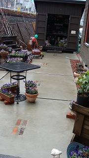 f0170524_18263543.jpg