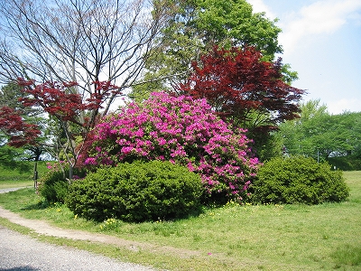 f0203324_14345266.jpg