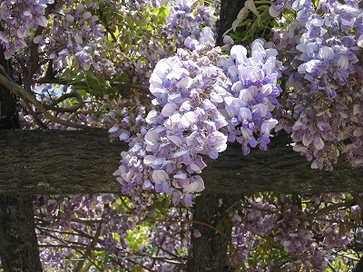 f0203324_1437323.jpg