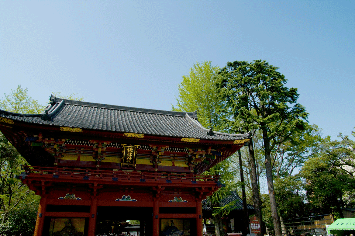 根津神社 つつじまつり(東京都文京区)_c0223825_05742100.gif
