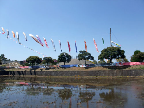 f0147025_1752449.jpg