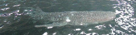 f0213825_16291710.jpg