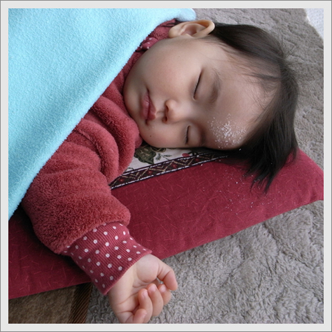 たんこぶにお砂糖 百花繚乱 天真爛漫に